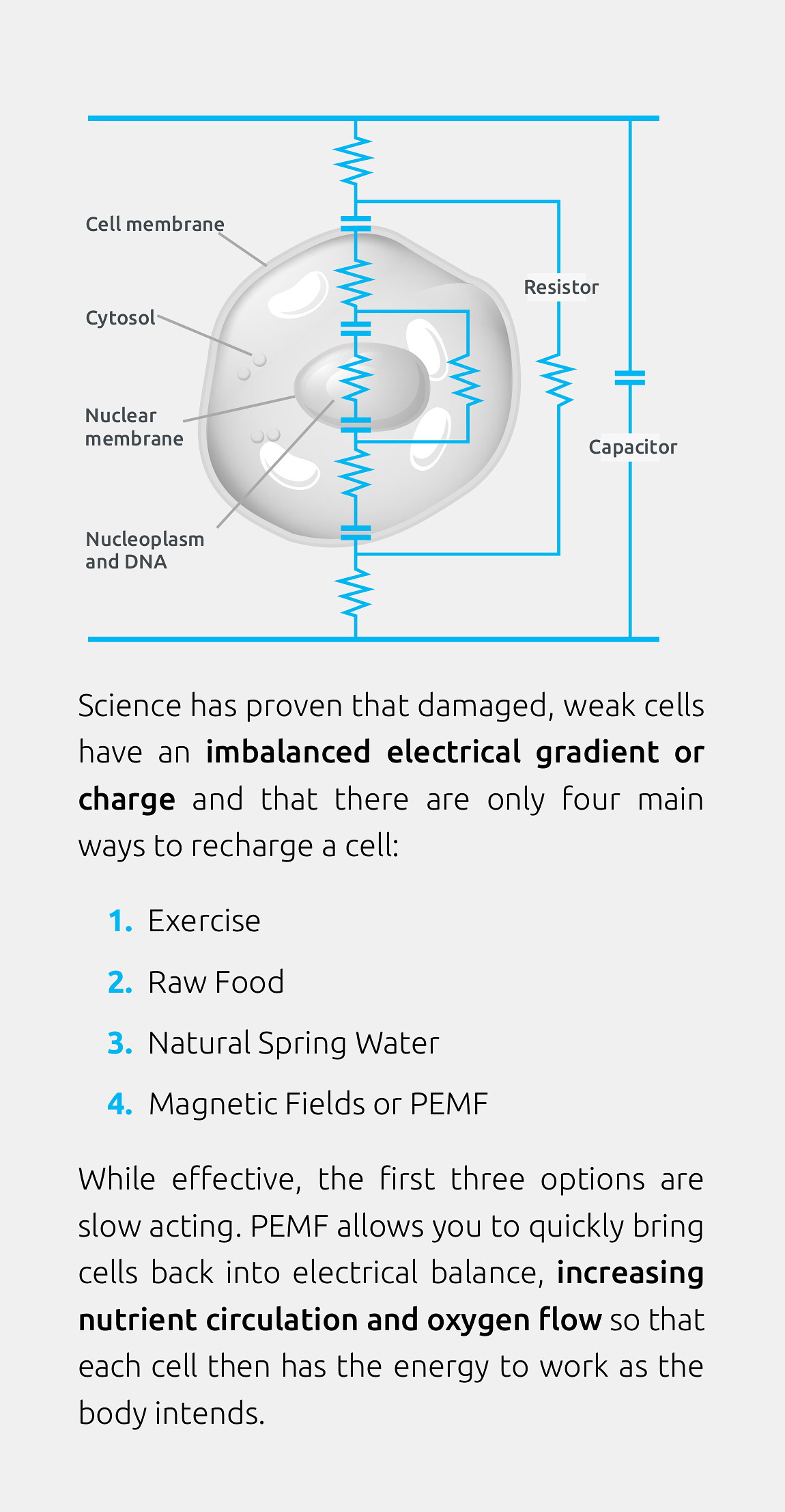 PEMF Cell Electricity