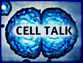 cell talk